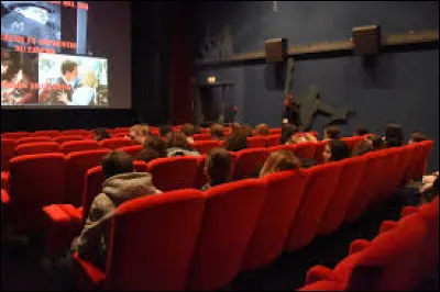 Immobilisé à la suite d'un accident, un reporter photographe un tantinet curieux épie ses voisins et soupçonne l'un d'eux du meurtre de sa femme, c'est dans quel film ?