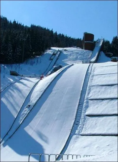 Au saut  skis,  l'preuve du petit tremplin  Whistler, le vainqueur se prnomme...