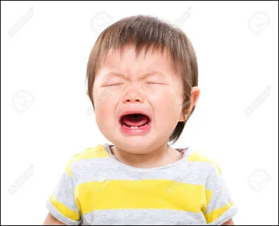 Un animal ancoule : lequel ?