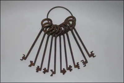 Quel oiseau peut quirritter ?