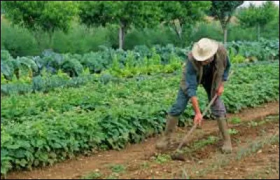 Qui est dépourvu de noblesse, de distinction, d'élégance :