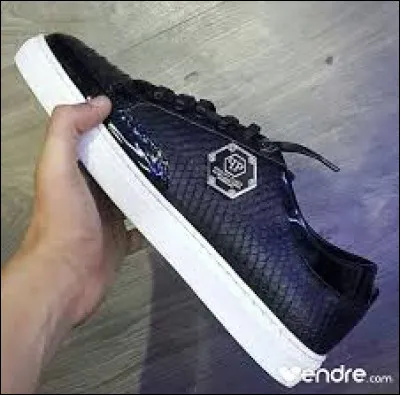 Quelle est la marque de cette chaussure ?