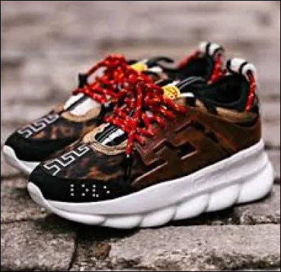 Les reconnaissez-vous ?