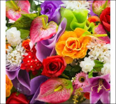 Laquelle de ces plantes ou fleurs n'est pas comestible ?