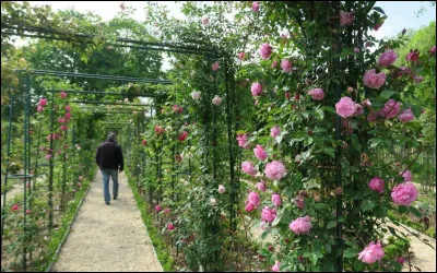 Vous &ecirc;tes si ... - Quand vous passez le ... - A l'angle de ma ... - Parfum&eacute;es et ... !