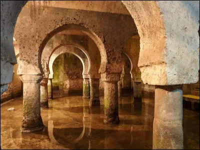 Je me souviens d'Adela, parcourant les ruelles ombragées de Caceres, dans la province [...] , à la recherche des patios les plus secrets.