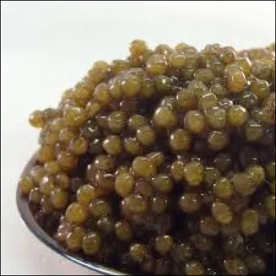 Depuis une dizaine d'années, la grande majorité du caviar consommé dans le monde provient d'esturgeons d'élevage.
Laquelle de ces mers n'est pas une région historiquement renommée pour son caviar sauvage ?