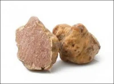 La truffe blanche, plus rare que la truffe noire, se négocie à environ 5 000 euros le kilo !
Dans quel pays a-t-on le plus de chance de la trouver ?