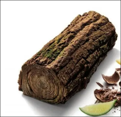 Et cette bûche, qu'est-ce que c'est réellement ?