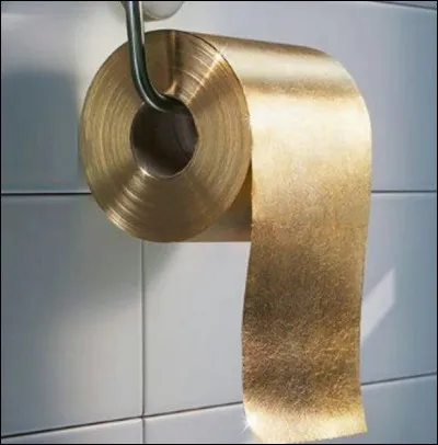 Ceci n'est pas une illusion, c'est bien du papier toilette. Combien coûte-t-il ?
