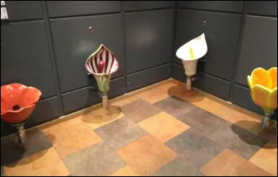 Voyons voir cette photo...