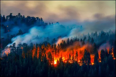 Quel élément préfères-tu ?