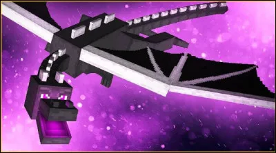 Qui a le plus de vies ?