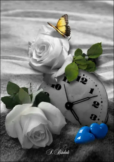 Quel film de Daniel Duval raconte l'histoire d'un petit garçon de 9 ans, dans une famille d'accueil ? (avec Jean-Paul Rouve, Anne Brochet et Raphaël Katz)