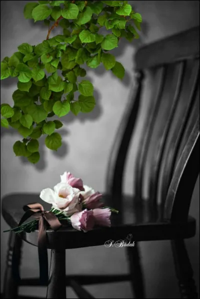 Quel dramaturge est l'auteur de la pièce de théâtre "Les Chaises", sachant qu'il fut le père du théâtre de l'absurde ?