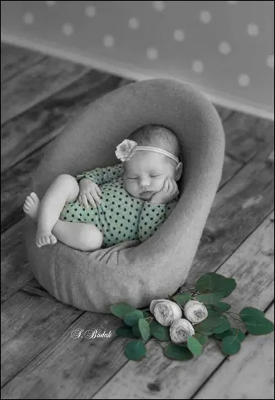 Du roman éponyme de quel écrivain, s'est inspiré le réalisateur du film "La Vérité sur Bébé Donge", où l'on rencontre le duo Gabin/Darrieux ?