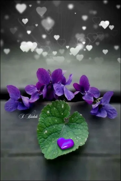 Pour lequel de ses grands chanteurs des années 40, l'amour était-il un bouquet de violettes ?