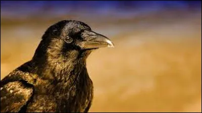 Quelle phrase n'est pas une idée reçue ?