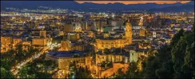 Où est né Picasso ?