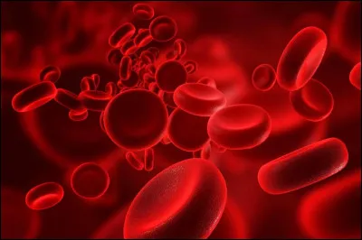 Par quel mot désigne-t-on la phobie du sang ?