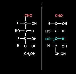 Le D-glucose et le D-galactose sont deux... ?