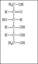 Le fructose est un ?