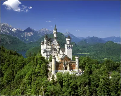 Quel c&eacute;l&egrave;bre ch&acirc;teau allemand apercevons-nous ici ?