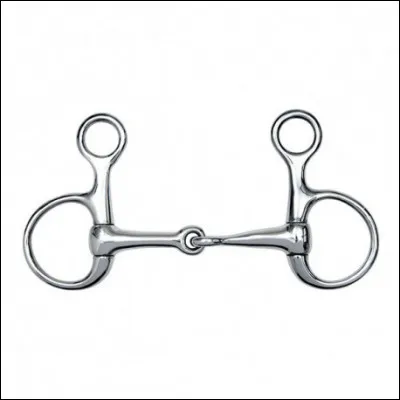 Quel est le nom de ce mors ?