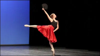 Qui chante "Senorita" ?