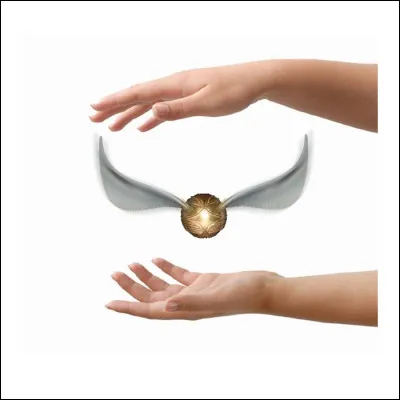 En combien de temps Harry attrape-t-il le Vif d'or lors du 2e match de quidditch ?