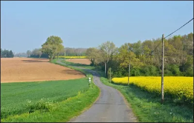 Où trouve-t-on parfois des nids-de-poule ?