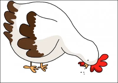 Selon la comptine que picore la poule ?