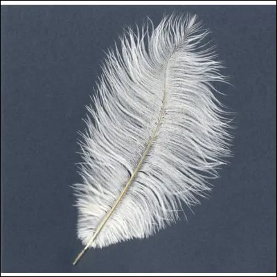 Quelle déesse portait sur sa coiffe cette plume d'autruche représentant la justice ?