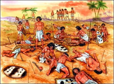 Décoration et haute distinction pour bravoure au combat ;