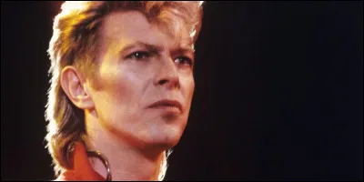 Ce chanteur et acteur, icône de la pop mondiale, artiste musical original et novateur de la musique pop et rock, se prénomme ...