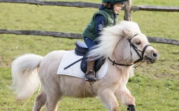 Quiz Galop 1