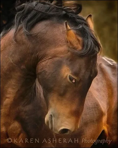 Que fais-tu dans ce cas ?
