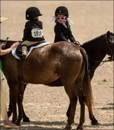 Quel est le cavalier prioritaire sur la piste ?