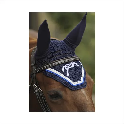 Quel est cet objet ?