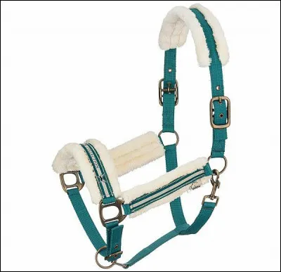 Comment s'appelle cet objet ?