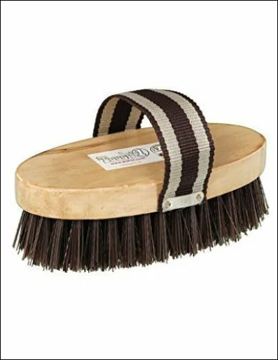 Quel est l'ordre du pansage ?