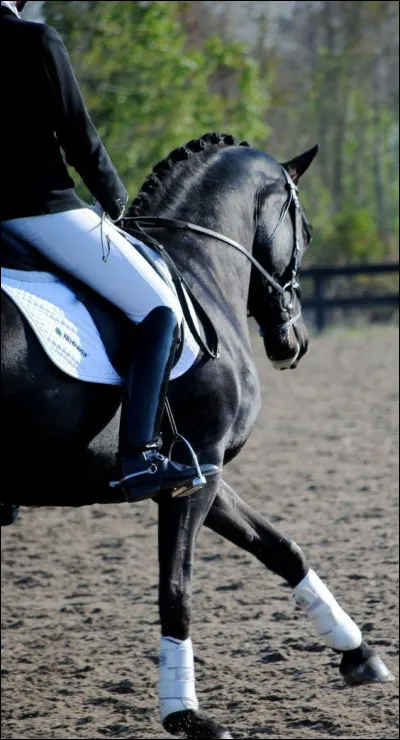 Quelles sont les aides artificielles ?