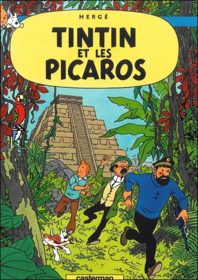 Encore 3 indices qui vous persuaderons que cette couverture a été 'caviardée'...