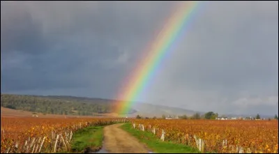 Tut est müez, perdut ad sa color !