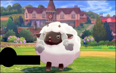 Comment se nomme son évolution ?