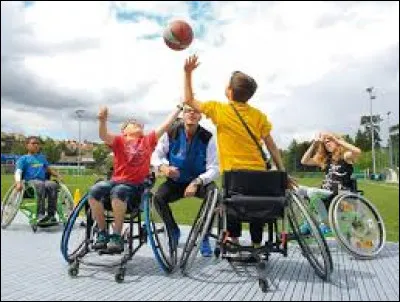 Combien y a-t-il de licenci&eacute;s ?