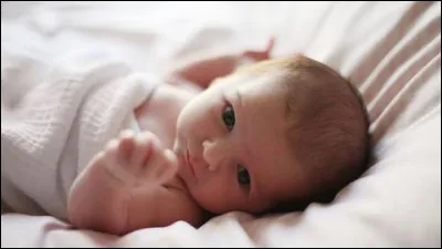 Qui est né le premier ?