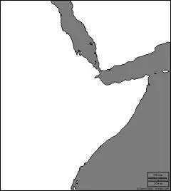 Question (bonus) : Que voit-on ici ?