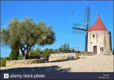 Associez un nom à l'image !