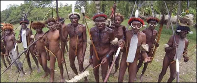 Quel célèbre navigateur français a donné son nom à une île faisant partie (pour l'instant) de la Papouasie Nouvelle Guinée ?